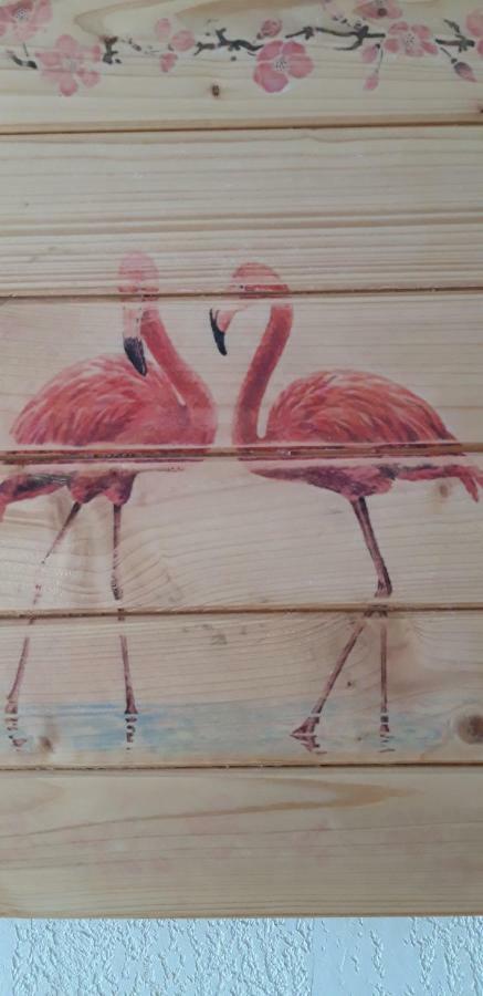 Le Flamant Rose Bed & Breakfast Salin-de-Giraud Exterior photo